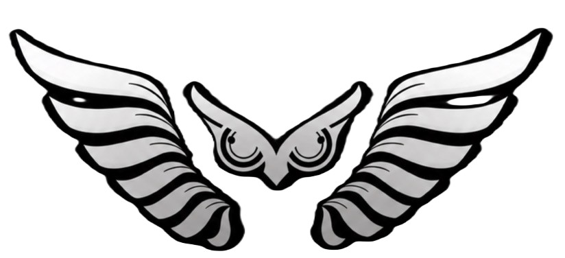 NightElite Security