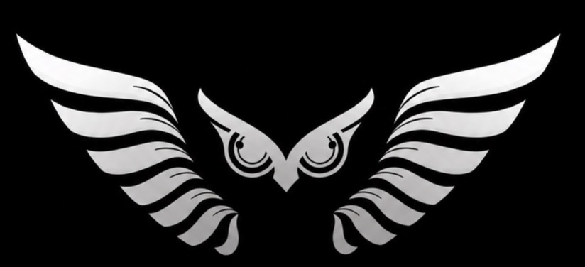 NightElite Security